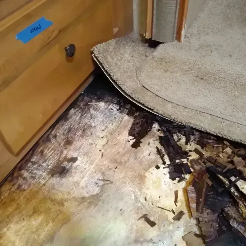 Best Wood Floor Water Damage Service in Delray Beach, FL